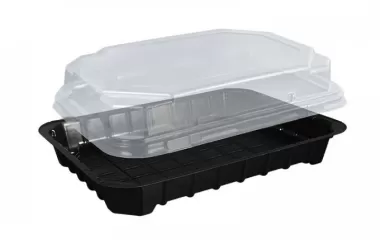 Одноразовая посуда для японской кухни: что нужно купить?