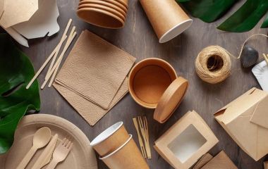 Из чего делают одноразовую посуду? Преимущества и недостатки