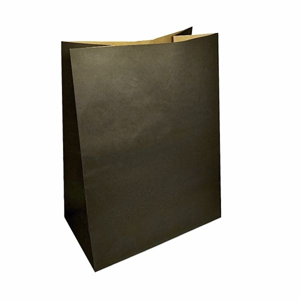 Пакет бумажный 260*150*350